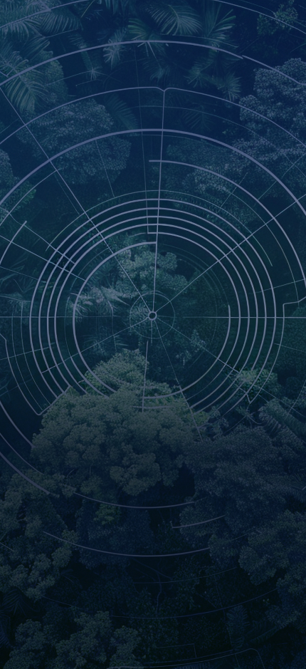 Tree-Mapping-Mobile-EN